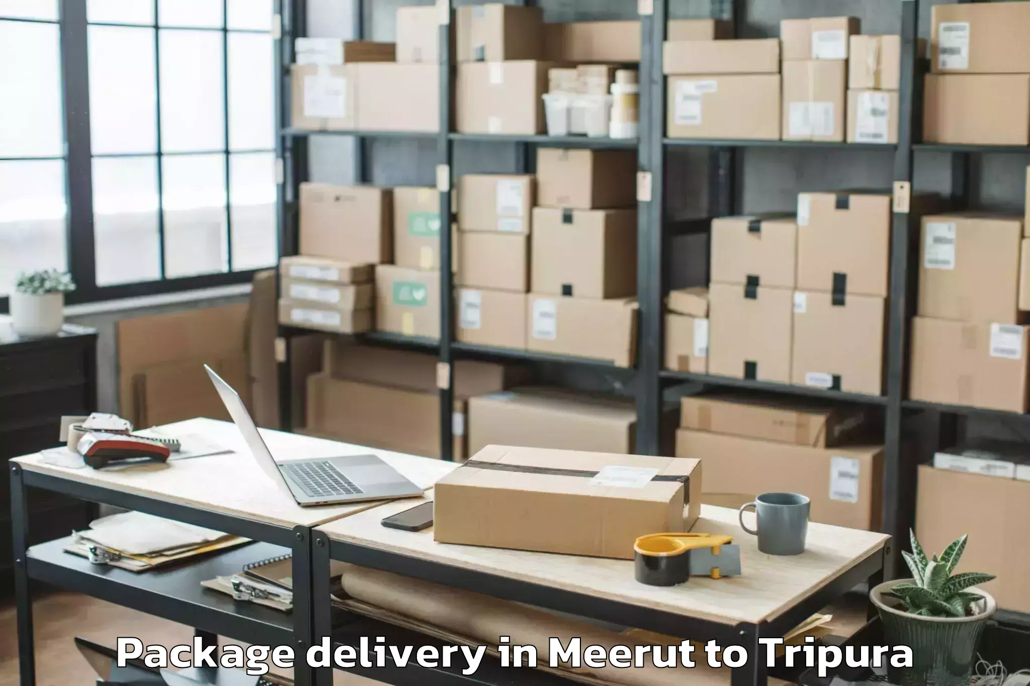 Professional Meerut to Ambassa Package Delivery